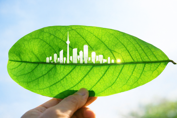 Eco-Friendly Cleaning Concept